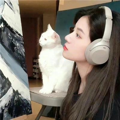 悲惨的追逐